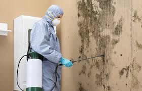 Best Emergency Mold Remediation  in Laguna Vista, TX